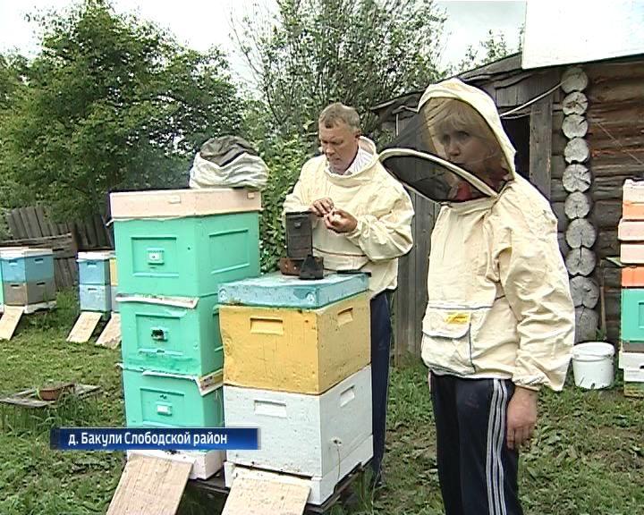 Семья Сапожниковых из Слободского района получила грант на развитие пчеловодства