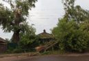 В Слободском на дом пенсионера-инвалида рухнуло дерево